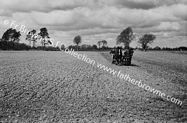 SOWING OATS